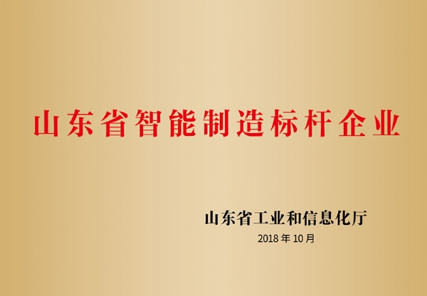 山東省智能制造標桿企業